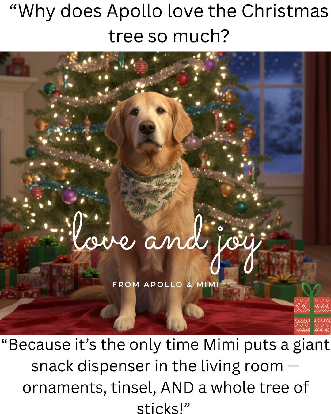 Christmas dog treats, homemade dog treats, freeze-dried dog treats, frozen dog treats, holiday pet gifts, DIY dog treats, PackFreshUSA pouches, dog food recipe, Greek yogurt dog treats, paw print treats, bone shape dog treats, Christmas pet gift ideas, Mimi&rsquo;s kitchen, prepper treats for dogs, Apollo the dog