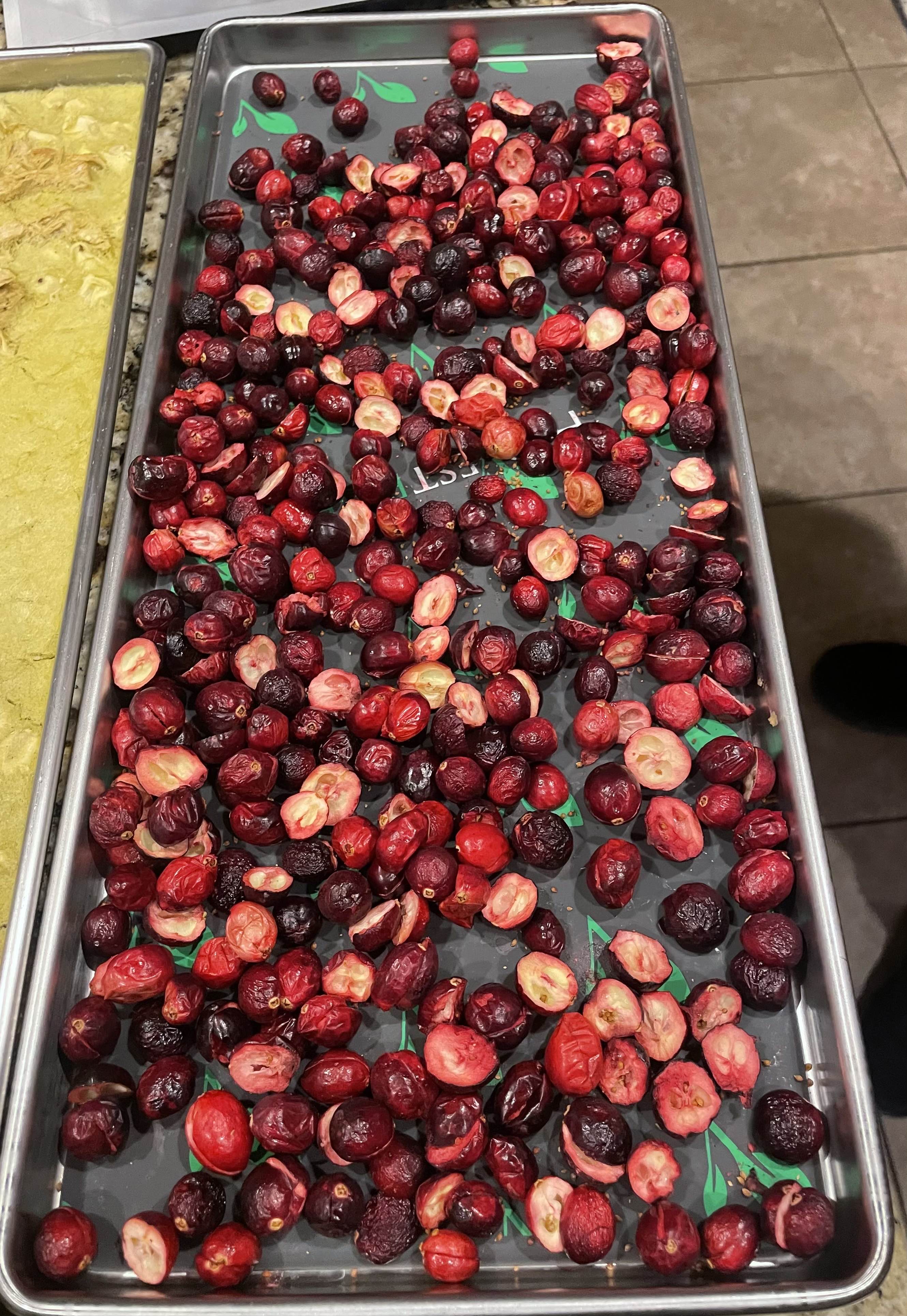 CRANBERRIES FREEZE-DRIED - DONE