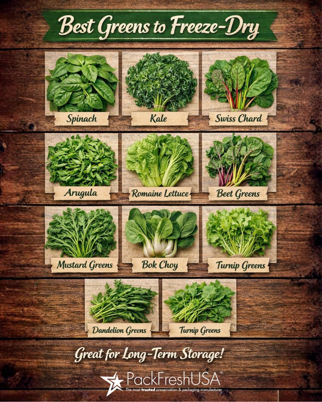 Top Herbs to Freeze-dry - storage for longterm