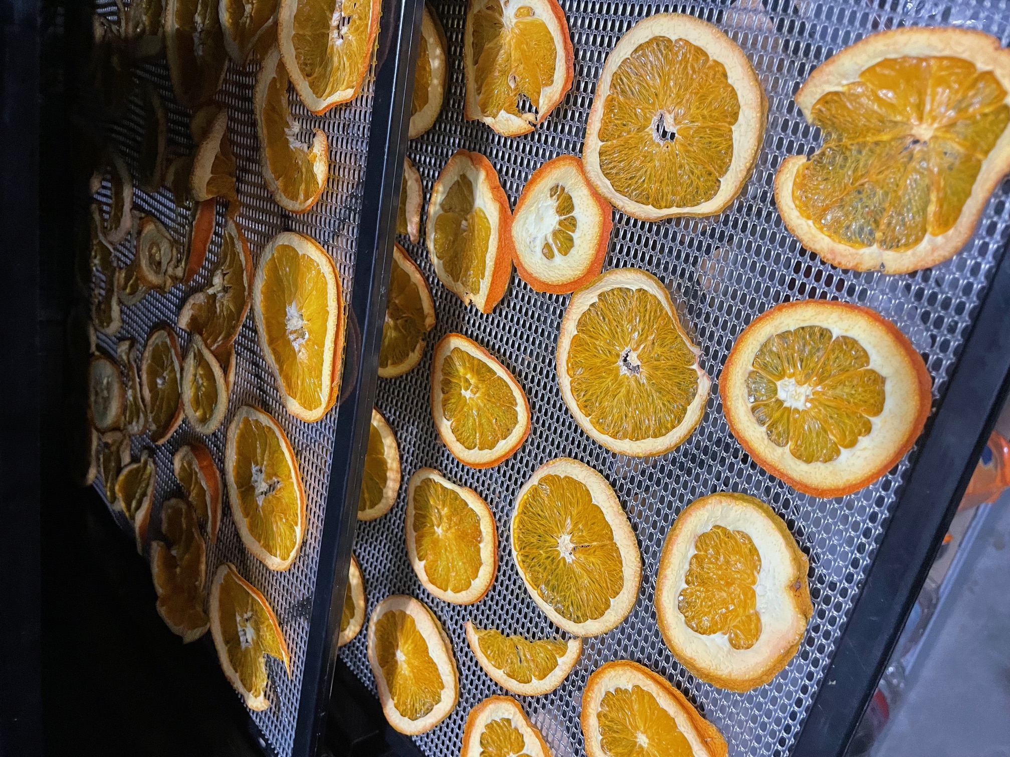 Dehydrated Oranges