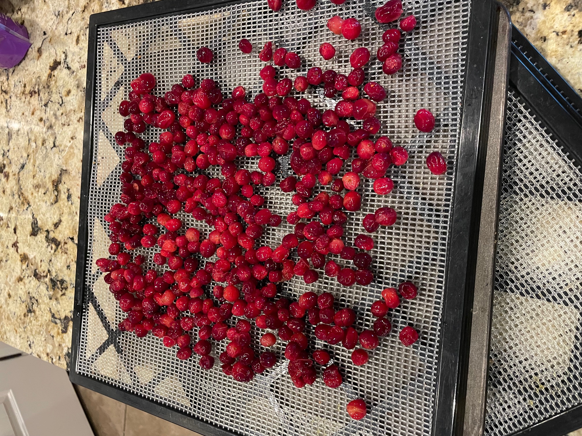 Cranberries Before Dehydration