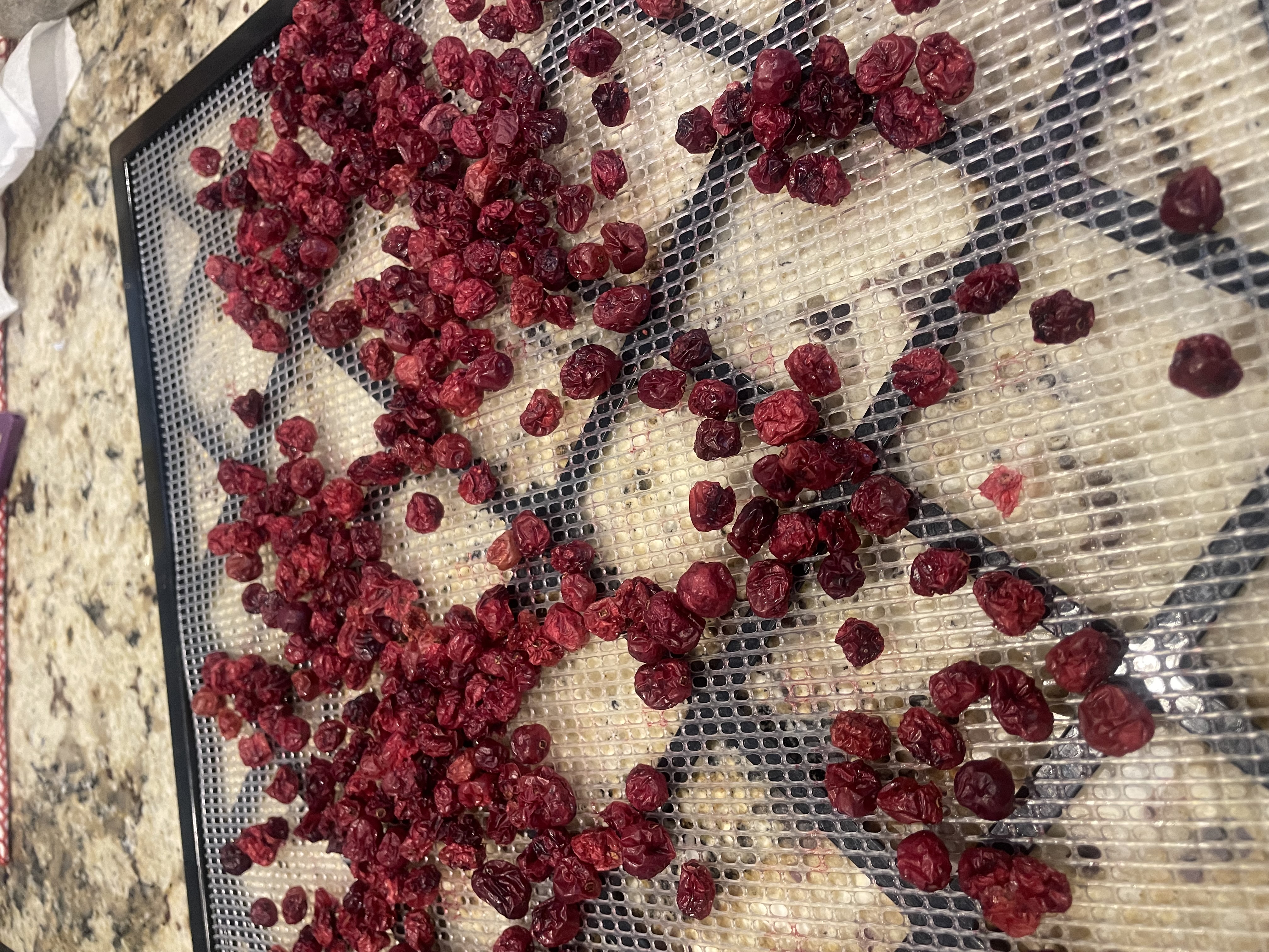 Canberries Dehydrated