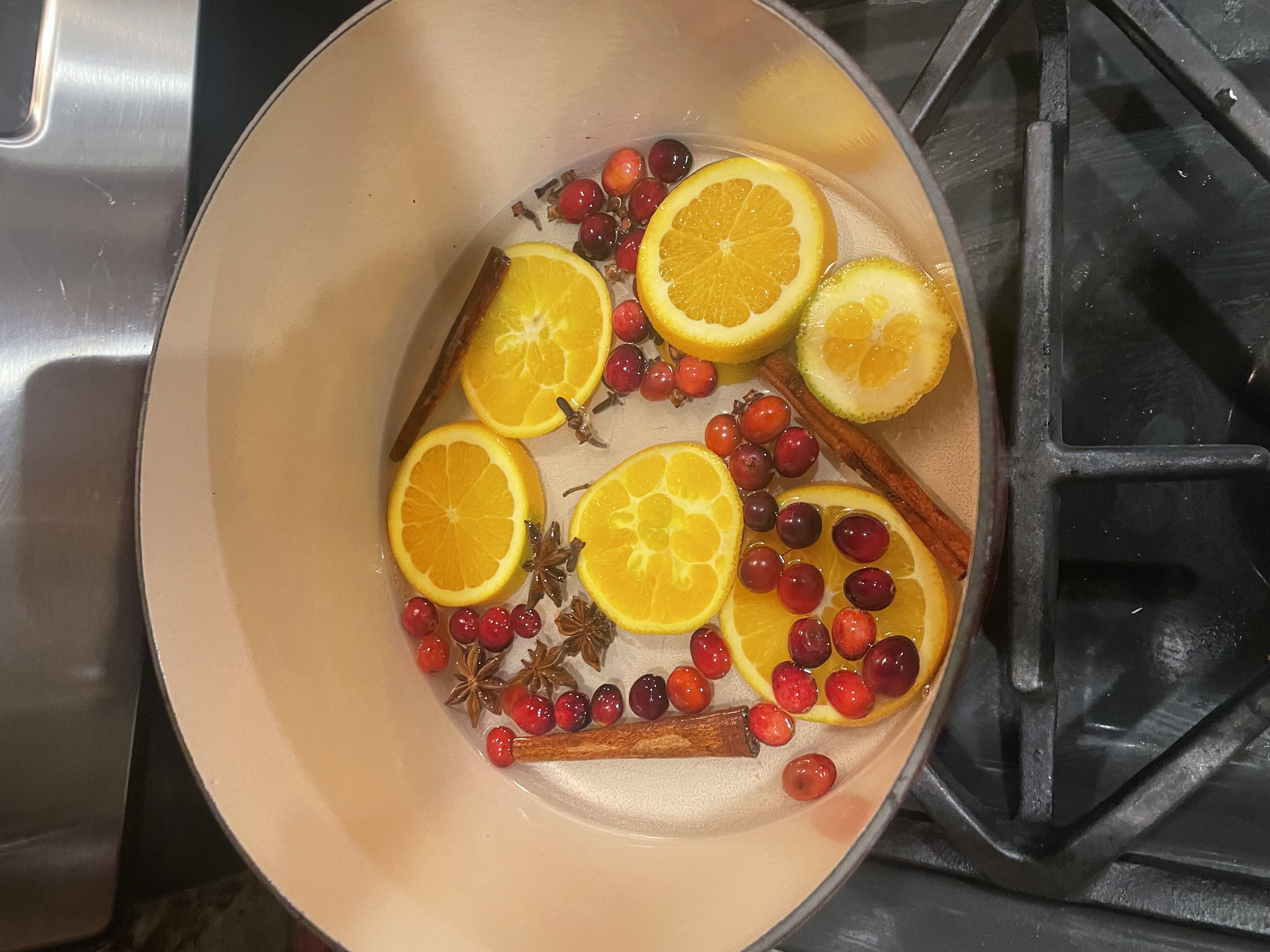 Festive Stove Top Potpourri